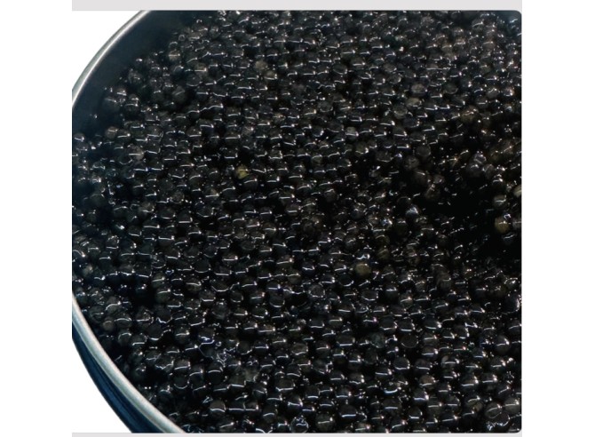 Stores ikri,Calvisius Siberian...